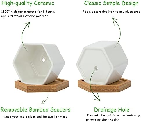 Warmplus 7CM Succulent Plant Pots, Simple Design Hexagon Small Flower Pot, White Ceramic Cactus Pots with Bamboo Tray and Drainage Hole, Great for Home Office Decor, Set of 6 (Plants Not Included)
