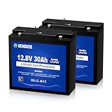 DC HOUSE 2 Pack 12V 30Ah LiFePO4 Lithium Battery with DC Port, Low Temp Cut-Off, 4000+ Deep Cycle Rechargeable Battery, for Trolling Motor, Lighting, Solar, Camping, Ham Radio, Ride on Toy