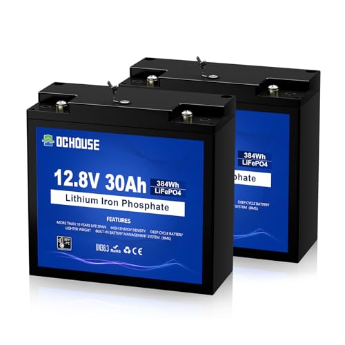 DC HOUSE 2 Pack 12V 30Ah LiFePO4 Lithium Battery with