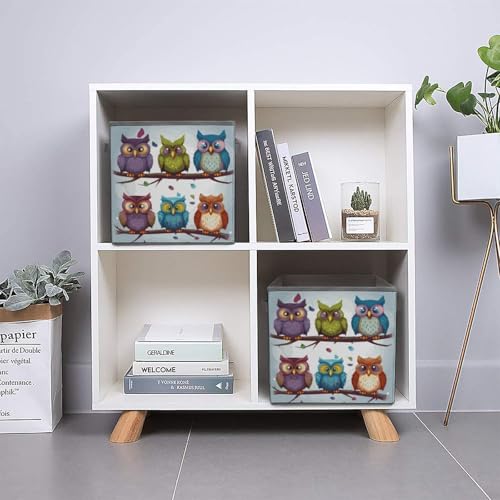 Bacs de rangement empilables pour placard avec motifs oiseaux et hiboux