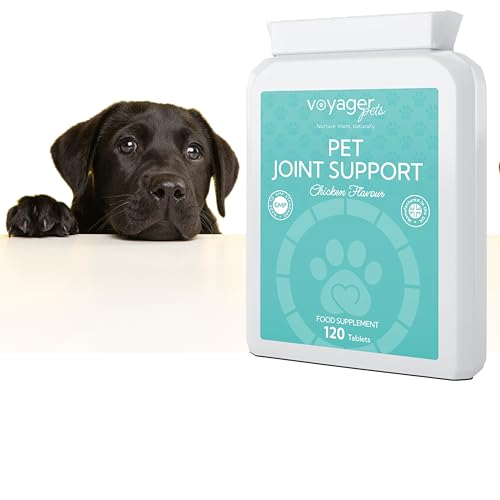 Voyager Pet Joint Support Supplement for Cats & Dogs | Chicken Flavour 120 Tablets| May Helps to Support Joints & Mobility with Glucosamine, Chondroitin, Green Lipped Mussel & MSM