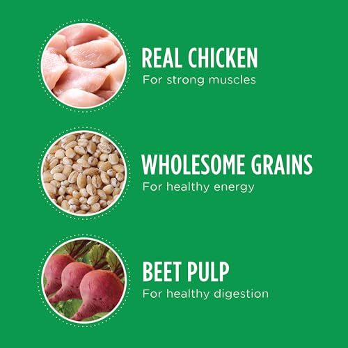 IAMS-Adult-Minichunks-Small-Kibble-High-Protein-Dry-Dog-Food-with-Real-Chicken-7-lb-Bag