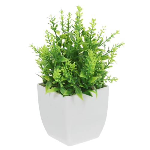 Garneck AȃtFCNϗtA ߑ~ f ϋv p ^lHA fXNItBX z[fR[V