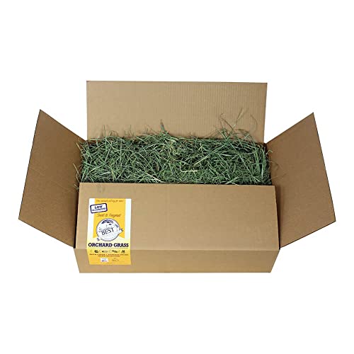 Heno Premium para Roedores en Caja Suelta 20lb miniatura 1