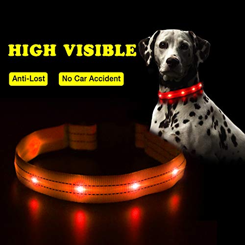 Pumila LED Dog Collar, Waterproof Light Up Dogs Collar USB Rechargeable Safety Flashing Dog Collars Adjustable Super Bright for Night Dark Increased Visibility (X-Small, Orange)