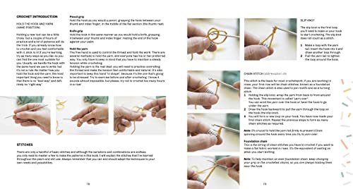 Animal Friends of Pica Pau 3: Gather All 20 Quirky Amigurumi Characters - Image 3