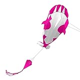 HEIYE 凧 3D 凧 巨大なフレームレス ソフト パラフォイル 巨大なクジラ飛行凧