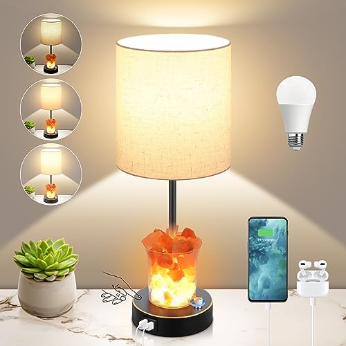 Dott Arts Table Lamp with Salt Lamp, 3-Way Dimmable Bedside Nightstand Lamp with USB Ports and AC Outlet, Touch Lamp for Living Room Bedrooms Reading Room, Bulbs Included Dott Arts Table Lamp with Salt Lamp, 3-Way Dimmable Bedside Nightstand Lamp with USB Ports and AC Outlet, Touch Lamp for Living Room Bedrooms Reading Room, Bulbs Included