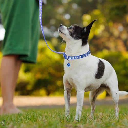 2 Sets Welpenhalsband mit Leine Set für Katzenstreu, Welpen Halsbänder, Katzenleine und Halsband-Set mit Glöckchen, Halsbänder für kleine Hunde, Kein Geschirr, Kätzchenleinen, Katzenhalsbänder
