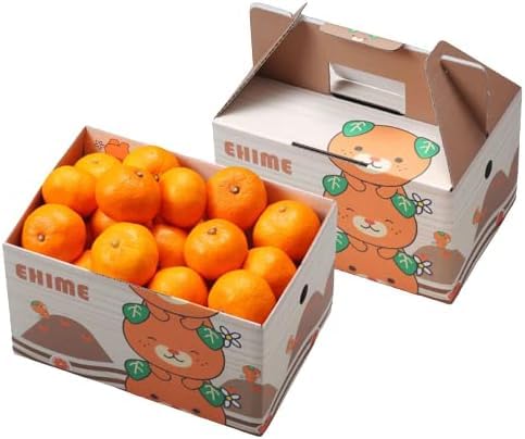 Ε ݂ Ɏ|ʂ݂ ̂ 󂠂 S`3STCY 2.5kg QY ~J  Mtg