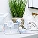 Boon Portable Bottle Brushes, Pump Cleaning & Drying Set