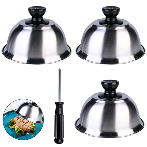 Ciieeo Cloche à Hamburger Multifonctionnelle En Acier Inoxydable - Couvercle Alimentaire Argenté 20 Cm