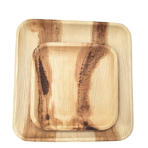 Dtocs Palm Leaf Plate Combo (50) - Square - 10 Inch (25) Dinner, 7 Inch (25) Dessert | Bamboo Look Eco-Friendly, Compostable, Biodegradable Disposable Plates For Wedding, Camping, Parties. #TOP4