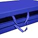 Giantex 4'x8'x2 Gymnastics Mat Folding PU Panel Gym Fitness Exercise