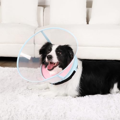 Collerette chien alternative collerettes chiens gonflable mousse