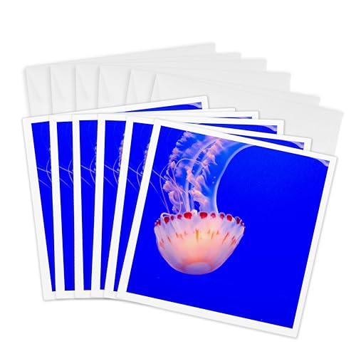 3dRose USA, California, Monterey. Jellyfish at Monterey Bay Aquarium. 6...