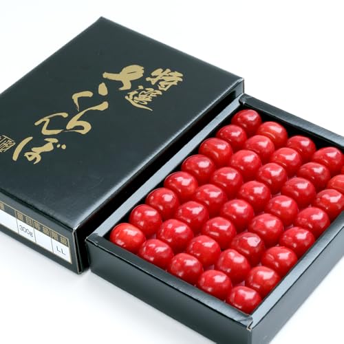 初物 山形県産 さくらんぼ 佐藤錦 300g (加温ハウス栽培/特秀品/2Lサイズ/常温便) 2026 ギフト 贈り物 贈答 お祝い お礼 お返し 内祝い プレゼント 加温ハウス サクランボ 山形 東根市 産地直送 旬 果物 フルーツ お取り寄せ