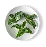Fresh Origins-Herbs, Fresh, Mint Lime Tops, 200 pieces, Avg 3 Oz, Explosive Lime and Mint Flavors, Hand-Picked...