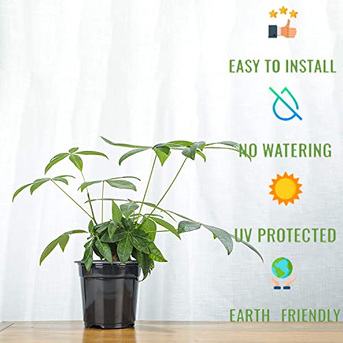 50Pcs Plastic Pots For Plants 4 Inch Small Plant Pots With Drainage Holes Seedling Pots Nursery Pots For Succulent Seedling Cutting Transplanting #TOP7