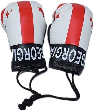 Mini Boxing Gloves Hang Mini Boxing Gloves for Car Mirror Keychain Ornament Car Decoration Accessories for Men&Women Georgian Flag