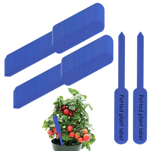 Etichette di giardinaggio per piante all'aperto, etichette vegetali per piante da interno | Etichette di piantine 100x | Segnalini decorativi impermeabili per pentole per erbe vegetali