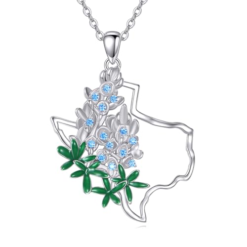 Collier Texas pendentif carte drapeau argent 925 bijoux cadeaux femme