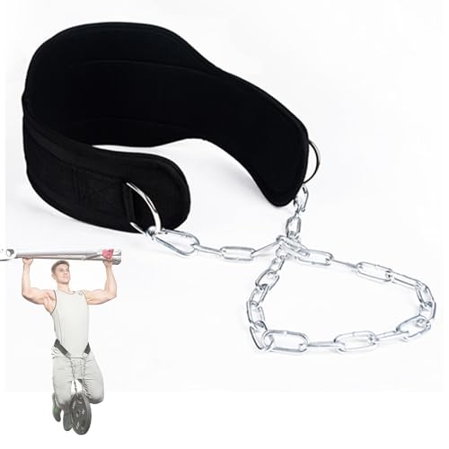 DYNAVERT 加重ベルト リフティングベルト 負荷重125kg ディプスベルト ナイロン製 耐久性 丈夫で使いやすい スチールチェーン付き 自重トレーニング