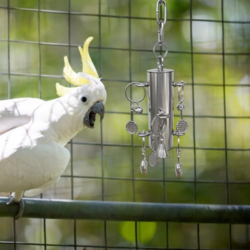 Jouet cloche en acier inoxydable durable et sûr pour grands oiseaux