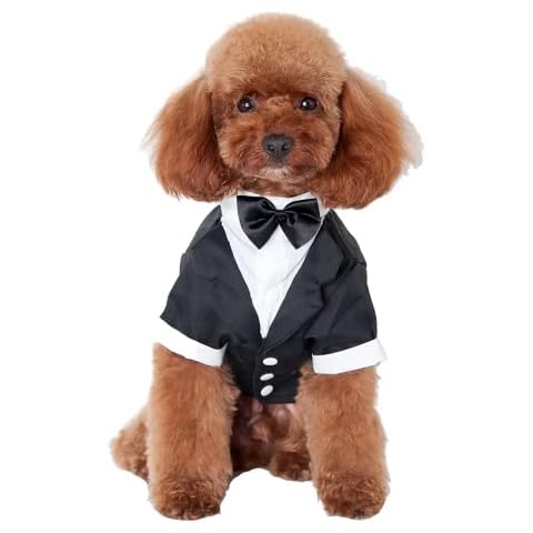 GabeFish Chaqueta formal de perro con pajarita negra Cover