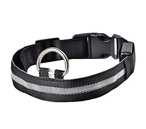 Nema Nylon Pet Glow in Dark LED Collar Night Safety - Black -Small (B07Z5WRYDJ) Amazon Price History, Amazon Price Tracker