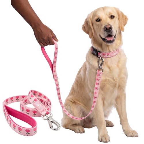 Image of Wag and Wilder Dog Leash for Medium Dogs - 5 FT Heavy Duty Training Leash with Strong Metal Hook, Durable Walking Lead (Jaipur Bloom- Pink, Medium, Leash ONLY)