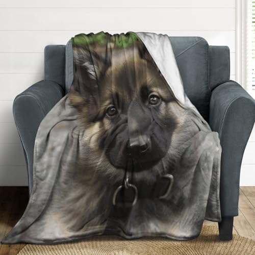 Couverture douce berger allemand idéale pour soirées cocooning canapé - 5