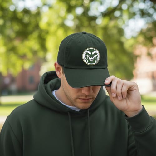 Gorra bordada ajustable verde con visera miniatura 5