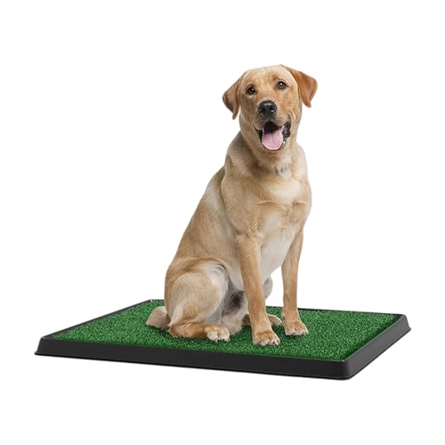 Gazons artificiels pour chien faciles à nettoyer avec bac de dressage amovible