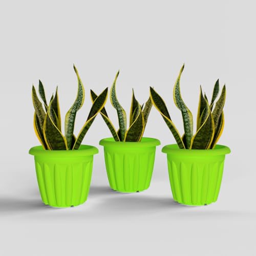 Image of YUCCABE ITALIA SHERA Floot 12 Inch Plastic Flower Pot 3 Piece Set of Round Shape Planter for Home Garden Seedling Planter for pots (Green)
