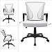 Furmax Office Chair Ergonomic Computer Desk Mesh Chair Mid Back Swivel Lumbar Support with Armrest (1, White)
