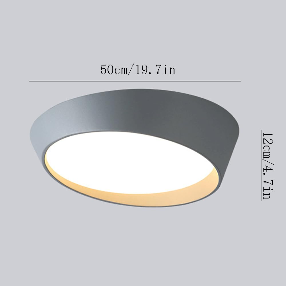 Plafonnier LED Intensité Variable Design Simple Éclairage Proche du Plafond pour Chambre Moderne