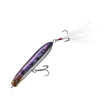 Amazon | エバーグリーン(EVERGREEN) EG シャワーブローズ77.7