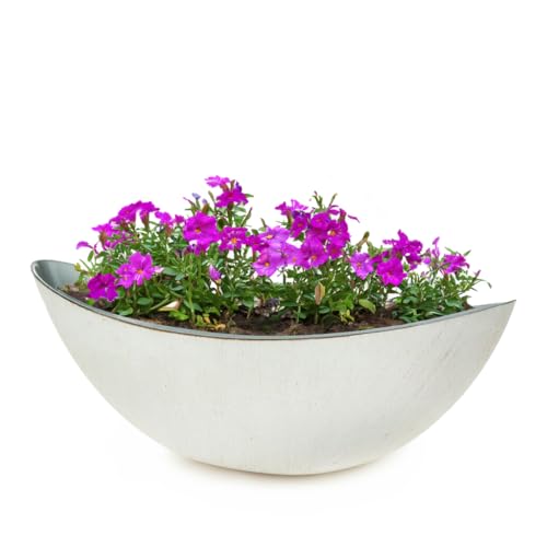 matches21 HOME & HOBBY Macetero ovalado para exterior – Cuenco decorativo como maceta de plástico crema blanco brillante 1 unidad – 39 cm Jardiniere para jardín, balcón o cementerio como adorno de