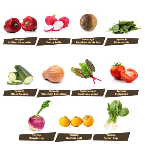 33 Variety Seed Bank Survival Gear 30,000 Premium Non-Gmo Open Pollinated Heirloom Seeds Made In Usa #TOP5