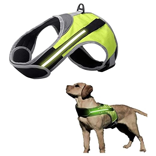 Patgoal Dog Vest Harnesses LED, Dog Leash Chest Strap LED, Multi Color LED Reflective Comfortable Padded Adjustable Straps, Lightweight Dog Safety Vest LED, for Night & Morning Walking & Running