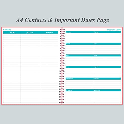 Undated Planner Pro - 8.5" X 11" Weekly & Monthly Planner To Achieve Goals & Increase Productivity, 12 Months Undated Agenda Daily Planner, Start Anytime, Pink #TOP5