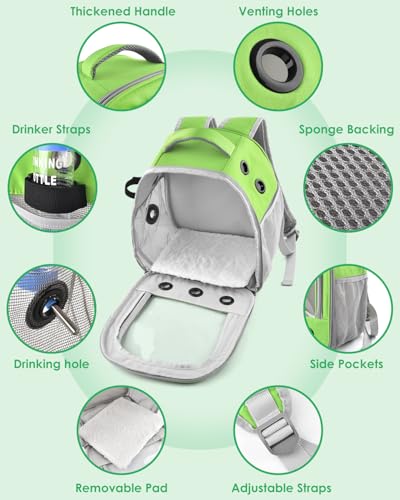 guinea pig carrier backpack portable rabbit travel carring bag for pet bunny chinchilla bearded dragon hamster parrot outgoing pouch case with water bottle holder amp detachable pad green