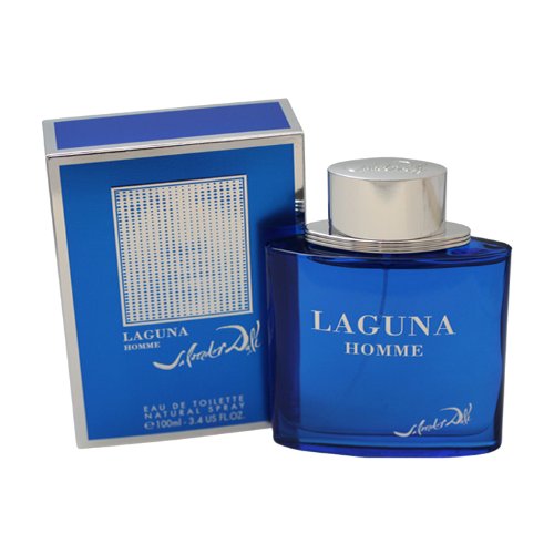 Preisvergleich Produktbild Salvador Dali Laguna Homme Eau de Toilette Spray 100ml