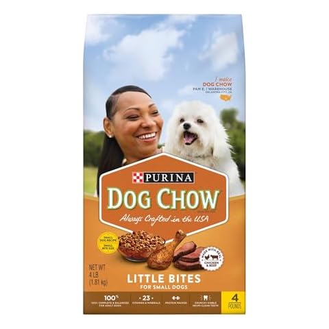 Purina174; Dog Chow Small Dog Grain & Real Meat Dry Dog Food - 4lbs Cover