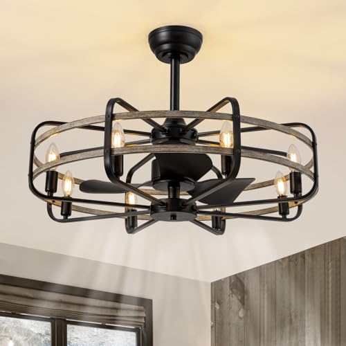 NOXARTE 30 Inch Caged Ceiling Fan with Light, Bladeless Farmhouse