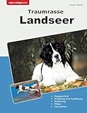 Traumrasse Landseer