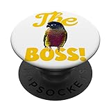 Photo Gallery conure parrot bird design | guancia verde | amore per gli uccelli popsockets popgrip intercambiabile Photo Gallery conure parrot bird design | guancia verde | amore per gli uccelli popsockets popgrip intercambiabile