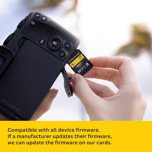 Image of Prograde Digital SD UHS-II 1TB Card V60 -Up to 130MB /s Write Speed and 250 MB /s Read Speed | for Professional Vloggers, Filmmakers, Photographers & Content Curators
