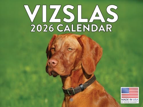 Vizslas wall calendar